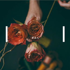 我想你㖭我的BB
